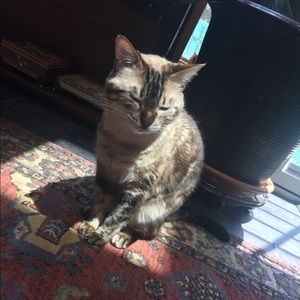 Meet your Posher, Elizabeth